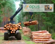 Ferguson Menzes Opus Bio Chain Oil 68: tree harvester lifting logs