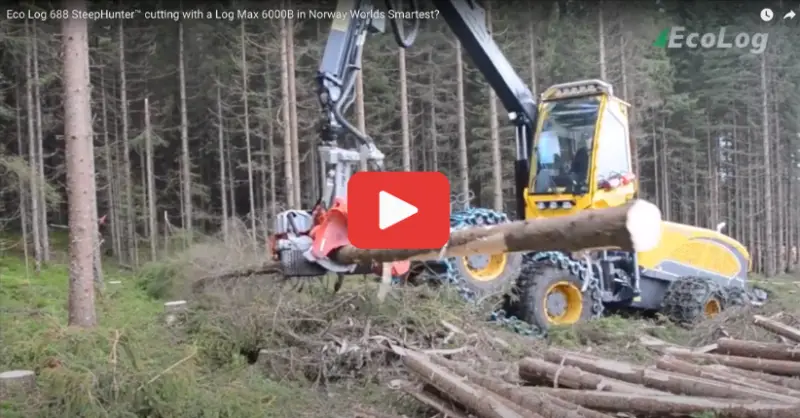 Ferguson and Menzies Opus Bio Chain Oil 68: multi-operational Tree Harvester is cutting, branch stripping and sectioning logs ready for transport and processing.